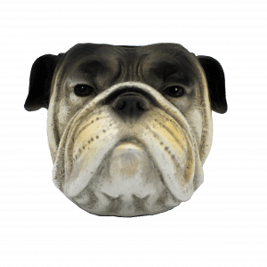 Vase Bulldogge